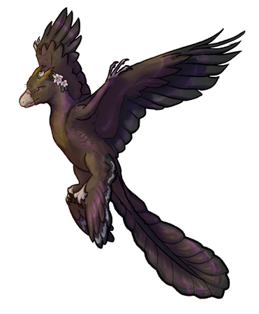 Fullbody (40€)